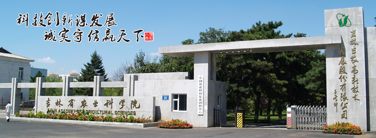 立軸沖擊式制砂機